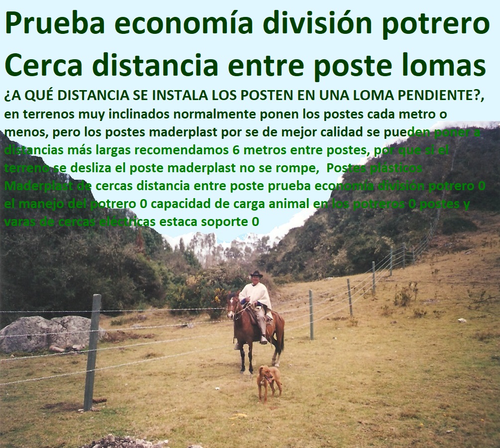 Postes plásticos Maderplast de cercas distancia entre poste prueba economía división potrero 0 el manejo del potrero 0 capacidad de carga animal en los potreros 0 postes y varas de cercas eléctricas estaca soporte 0 Postes plásticos Maderplast de cercas distancia entre poste prueba economía división potrero 0 el manejo del potrero 0 capacidad de carga animal en los potreros 0 postes y varas de cercas eléctricas estaca soporte 0 Postes plásticos Maderplast de cercas distancia entre poste prueba economía división potrero 0 el manejo del potrero 0 capacidad de carga animal en los potreros 0 postes y varas de cercas eléctricas estaca soporte 0